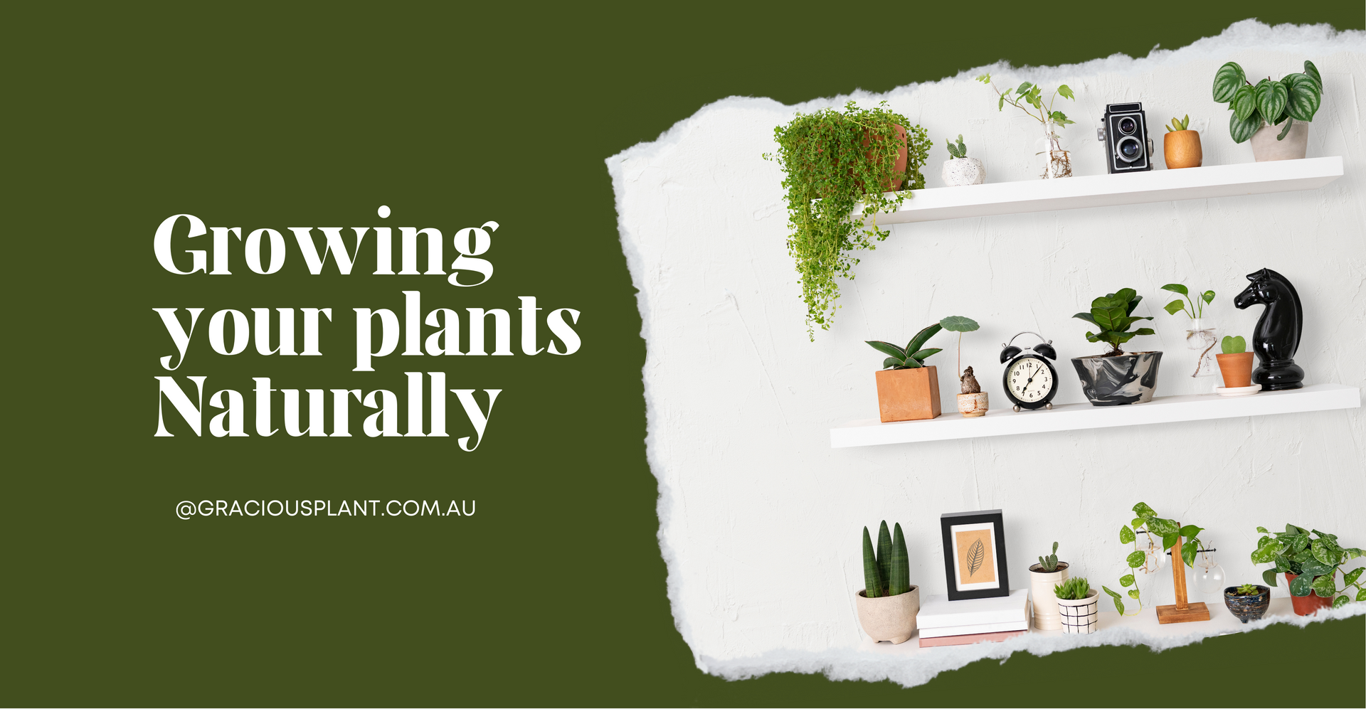 Growing your plants naturally