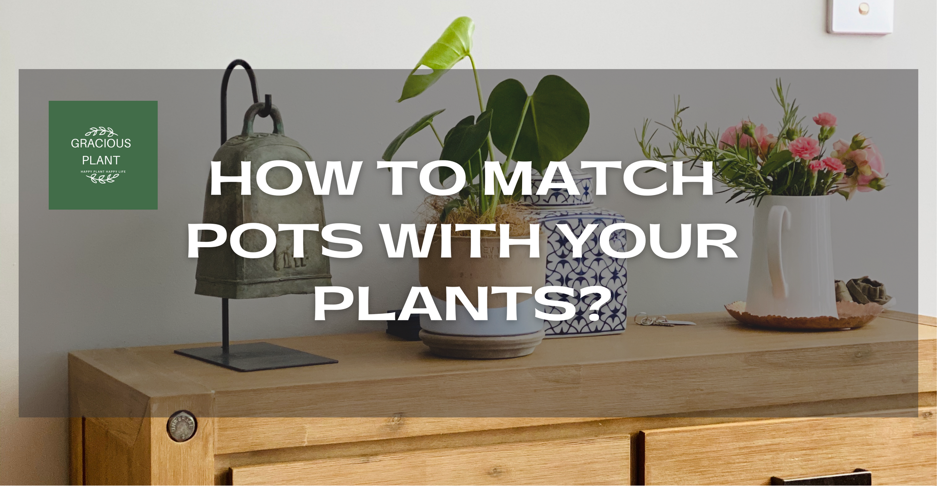 how to match pots to your plants 